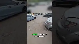 Is Your Car's Engine Acting Up  Here's What to Check!