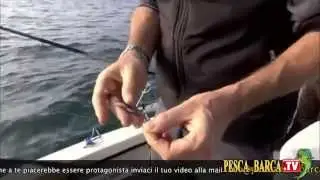 Tecnica di PESCA allo SGOMBRO IN MARE DALLA BARCA CON CANNE DA SGOMBRI | Pesca dalla Barca TV