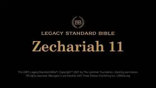 Zechariah 11 - Legacy Standard Bible (LSB) - Audio