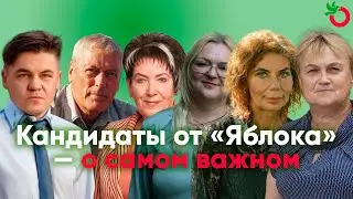 Кандидаты в муниципальные депутаты в Новгородской области — о самом важном. Выборы-2025