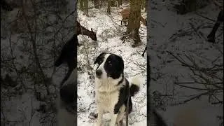 Вот это эко-жизнь!  
