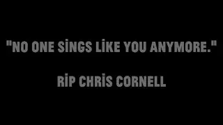 Black Hole Sun: 5 years gone + we still miss Chris Cornell.