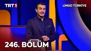 Lingo Türkiye 246. Bölüm