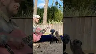 When he grabs the guitar 🥹
