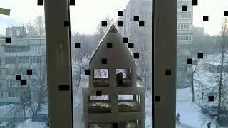 Птичья круговерть Видео 288