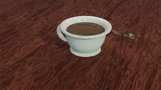 ant coffee
