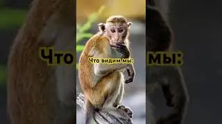 И это правда.. #прикольноевидео