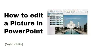 How to do Basic Photo Editing in PowerPoint | PowerPoint Tutorial | PowerPoint Tips