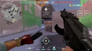 BEST PLANT FOR ICEBOX | EASY 3k CHAMBER ON ICEBOX | LINE UP
