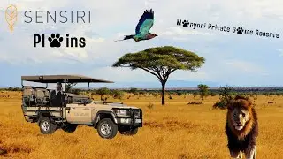 The Best Lodge in Manyoni Game Reserve? | Sensiri Plains Game Lodge | William Evans
