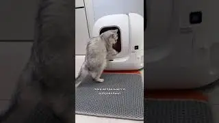 План Гуччи провалился