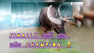 Finally আহি গ'ল নগাঁও Champion 🏆