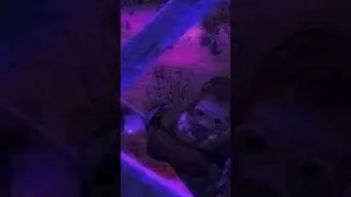 Дёрганый чел