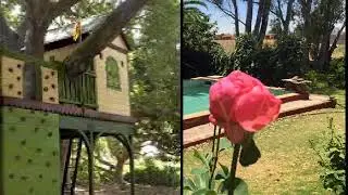 Jardin con Arboles