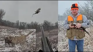 How to Bird Dog Train || Rooster Pheasant SMACKDOWN