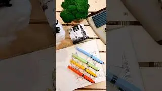 прекрасный и непокорённый (черная тушь от @maleviches ) #допосле #животныймир #леснаясказка #тушь