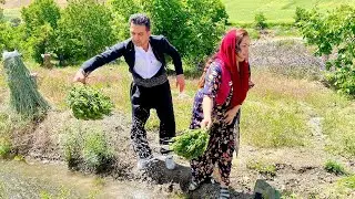 The First Day of Summer in the Village | Village Lifestyle | Kurdish Couple Lifestyle
