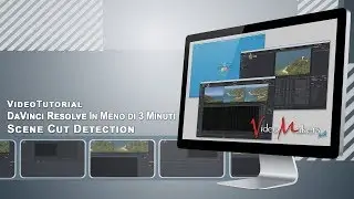 DaVinci Resolve - Automatic Scene Detection