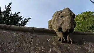My GoPro Video