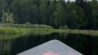 Сплав на Sup Board!🏄‍♂️🌳☀️💦