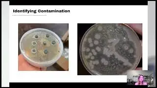 Mycology 101 - Class 2 Part II