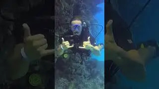 Under the water. Мое первое погружение 🤿😎#diving #redsea