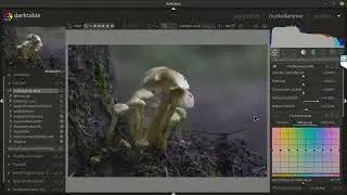 #Darktable Piltze kurz durch gesprochen