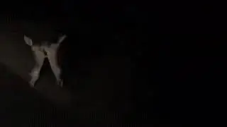 Разборки на трассе