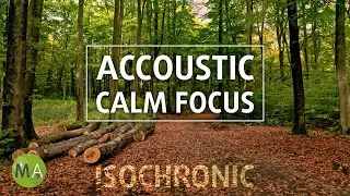 Calm Focus Reading/Writing - Reflective Accoustic + Isochronic Tones