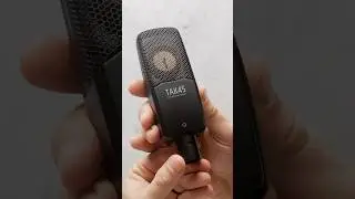 Takstar TAK45 Budget Large-Diaphragm Condenser Microphone #microphone #podcasting #streamers #audio
