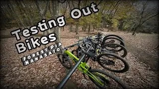 Berm SESHH| Forest Pia Nanasato | Kona Process 153