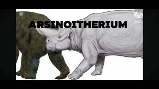Cenozoic Beasts Epigaulus-Paractherium