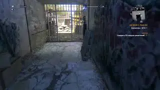Глюк, сплошные бегуны!