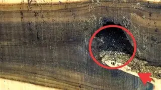 alert !! This bark is very toxic.
