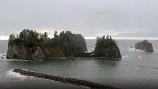 Quileute Tribe Uses the Forest for Timeless Traditions