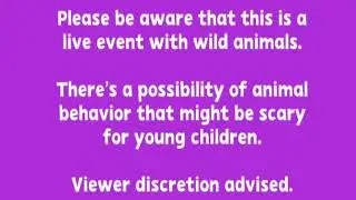 (READ DESC) PBS Kids Lost Wild Alaska Live Disclaimer RECONSTRUCTION