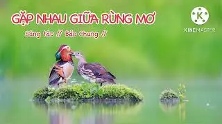 Gặp nhau giữa rừng mơ - Karaoke ( karaoke thái bình ) #karaoke #karaokegapnhaugiuarungmo