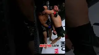 Muay Thai Elbow 😲😲😲 #shorts #ufc #mma #kickboxing #boxing #muaythai #punch #moderncombatsports