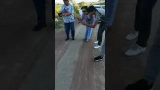 Встреча на дороге.