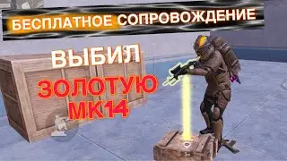 ВЫБИЛ ЗОЛОТУЮ МК14😱НА БЕСПЛАТНОМ СОПРОВОЖДЕНИИ☠️В ПАБГ МОБАЙЛ МЕТРО РОЯЛЬ КЕНТ И ВЕТРЕЛ