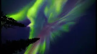 Northern Lights — Interior Alaska