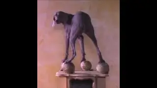 Rockdog New Order "Blue Monday" Bible Study