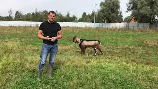 Обращение Артёма Петухова к властям