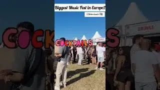 Bollywood Music Festival Netherlands #new #viralvideo #shortsvideo #trending #music #festival #party