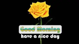 whatsapp video message good morning wishes flowers blooming