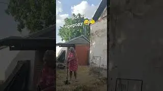 лето в станице