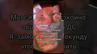 Кот говорит ало мем прикол сонный кот красиво говорит ало 