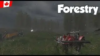 Forestry - Ep. 55 - Sandy Bay - FS17