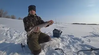 Рыбалка — это не только рыба