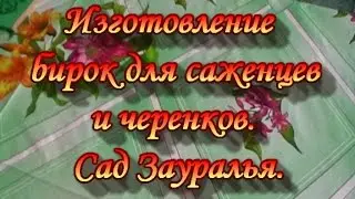 Grapes.Making labels for seedlings and cuttings.Garden Of The Urals.